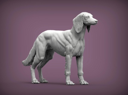 saluki 3d impresión modelo perro naturaleza mamífero animal mascota escultura estatuilla recuerdo presente esculpir esculturas imprimible Arte 3d print model - Mito3D