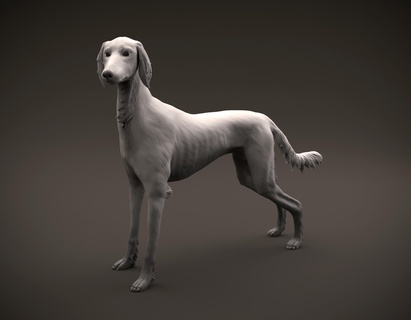 Saluki cão animal canino mamífero caça vista miniatura figura escultura egípcio Caçando miniaturas estatuetas 3d print model - Mito3D