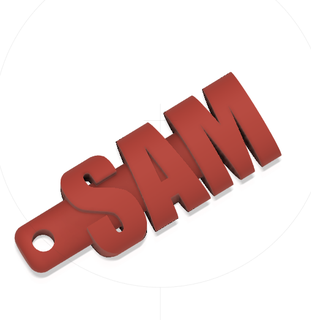sam keychain Art art present 3d print model - Mito3D