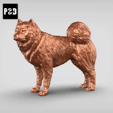 samoiedo v1 arte cão animal brinquedo estatuetas 3d print model - Mito3D