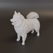 samoiedo cane mammifero cani arte regalo Stampa 3dprint animale arredamento figurina miniature scultura statua giocattolo lowpoly carina 3d print model - Mito3D