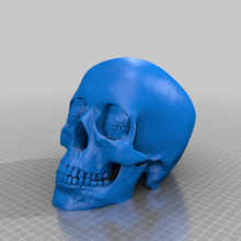 sandman corinzio cranio 3d print model - Mito3D