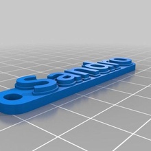 Sandro personalizado organização 3d print model - Mito3D