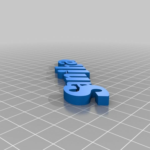 sanitha customized organization 3D print model - Mito3D