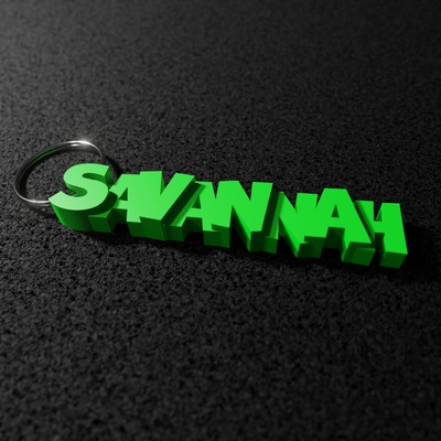 savannah - keyring gadget keychain 3d print model - Mito3D