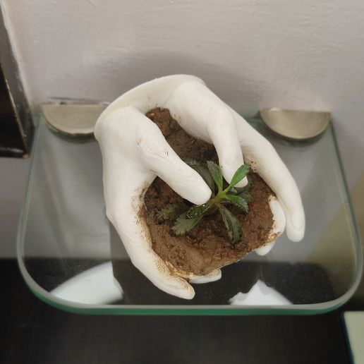save nature planter pot desk home office cute 3D print model - Mito3D