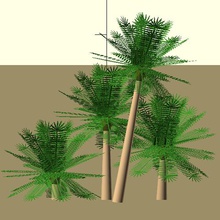 scad file containing functions get phoenix type palms art plants openscad 3d print model - Mito3D