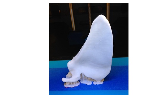 escápula anatomía huesos medicamento momentum3d 3d print model - Mito3D