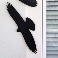 scarebird home silhouettes animal bird prey sea gull horror noice dirty 3d print model - Mito3D
