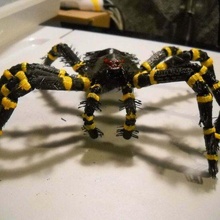 scarry hairyetta tarantula creatures 3d print model - Mito3D