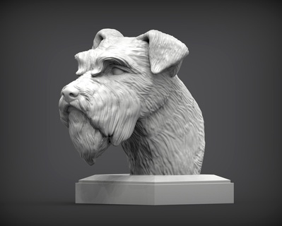 Schnauzer busto escultura 3d impresión perro naturaleza mamífero animal mascota estatuilla recuerdo presente modelo esculpir Arte esculturas estatua imprimible miniaturas 3d print model - Mito3D