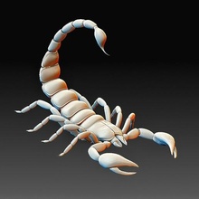 scorpio insect animals art printable model high poly 3d print model - Mito3D