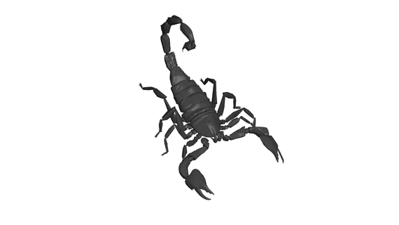 Scorpion scorpio animal mer nature poisson 3d print model - Mito3D