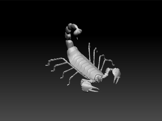 scorpion art on desk test model amazing animal royal beauty beautiful shiny royality 3d print model - Mito3D