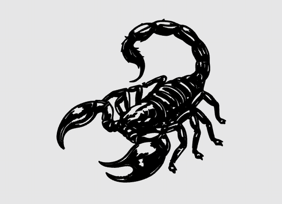 scorpion art decor decorations interior design wall decoration wallart walldecor homedecor animal insect 2d zodiac astrology constellation signs horoscope home 3d print model - Mito3D