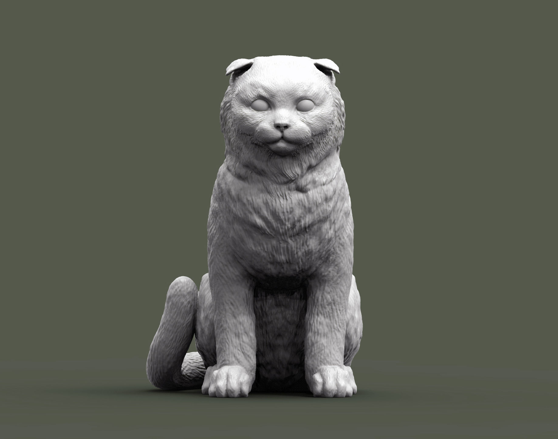 escocês dobra gato 3d impressão modelo animal mamífero gatinha natureza gatinho mentindo escultura presente esculpir esculturas lop orelhudo 3D print model - Mito3D