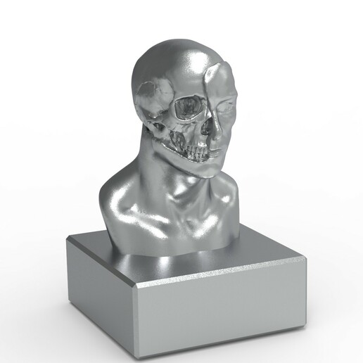 escultura anatomía 3D print model - Mito3D