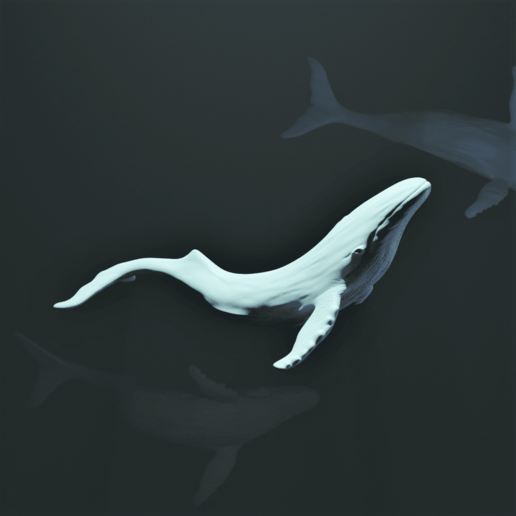 heykel balina ev balık deniz okyanus sanat 3D print model - Mito3D