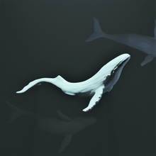 la sculpture de baleine maison du poisson mer l'océan art 3d print model - Mito3D