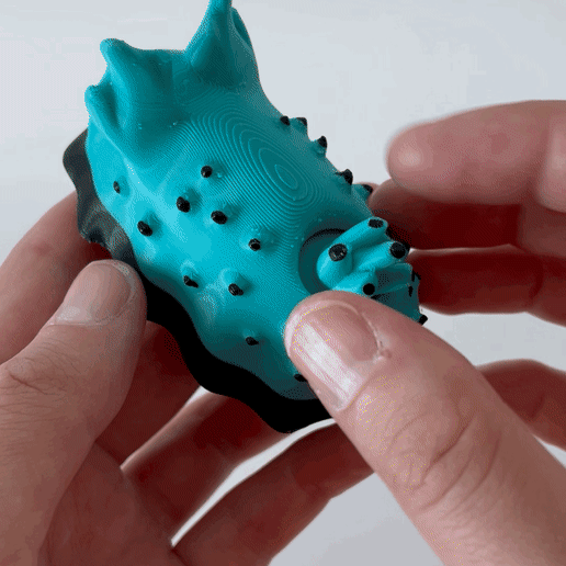 sea bunnies 3D print model - Mito3D