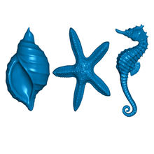 deniz hayat buzdolabı beyaz tahta mıknatıslar mıknatıs Denizatı kabuğu denizyıldızı dekor 3d print model - Mito3D
