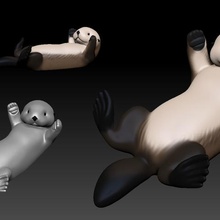 sea otter stampa 3d modello stl3d di art animale domestico carino cane cat cucciolo seaotter 3d print model - Mito3D