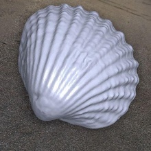 mer coquille 3d print model - Mito3D