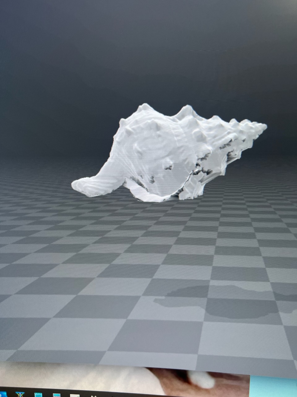 mar Concha oceano animal estatueta modelo arte 3D print model - Mito3D