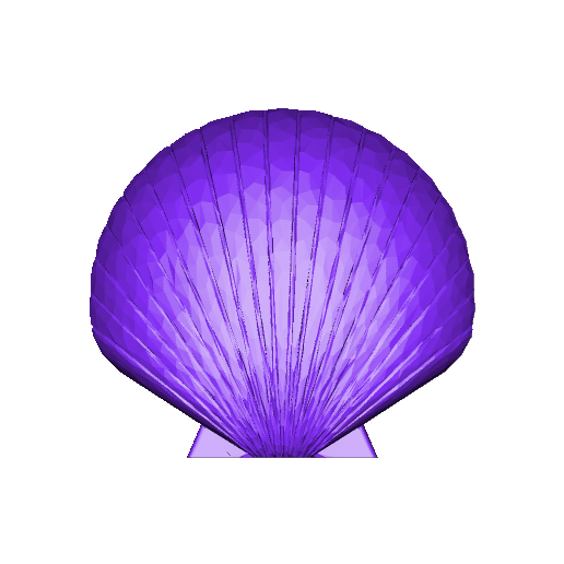 sea shell seashell various miscellaneous uncategorized 3D print model - Mito3D