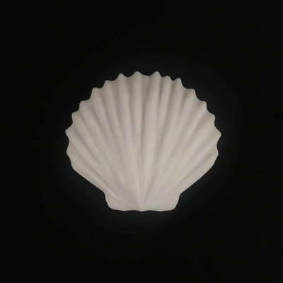 sea shell clam s mermaid shells worm headband crown decorative accessories 3d print model - Mito3D