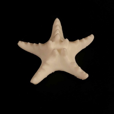 mar estrela chifrudo sereia arco cabelo coroa decorativo acessórios peixe criatura 3d print model - Mito3D