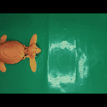deniz kaplumbağa 3d print model - Mito3D