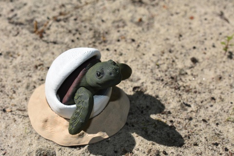 mare tartaruga cucciolo arte oceano rettile spiaggia uovo schiudere bambino animale supporto gratuito 3d print model - Mito3D