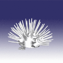 l'oursin art l'aquarium animal de la mer coralreef barrière corail les coraux le 3d print model - Mito3D