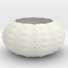 sea urchin bowl home vase tumbler 3d print model - Mito3D