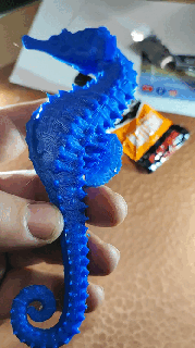 seahorse animals sea beach water fish bricoloup 3d 3d print model - Mito3D