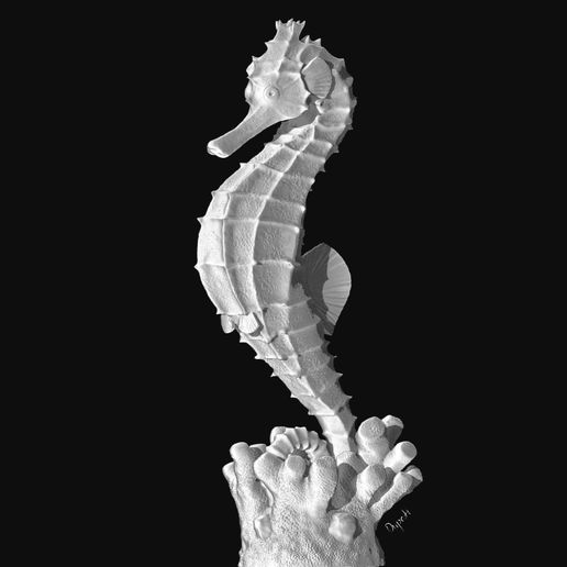 cavalluccio marino oceano ocean_creature animale marinaio poli alto ippocampo ipocampo 3D print model - Mito3D