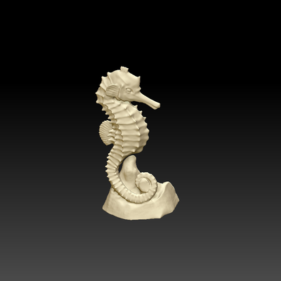 cavalluccio marino base arte oceano mare animale scultura scolpire arredamento casa creatura 3d print model - Mito3D