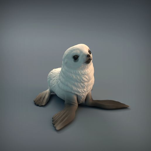 foca cucciolo arte animale bambino carina scultura figura miniatura fauna selvatica marino natura giocattolo statua 3D print model - Mito3D