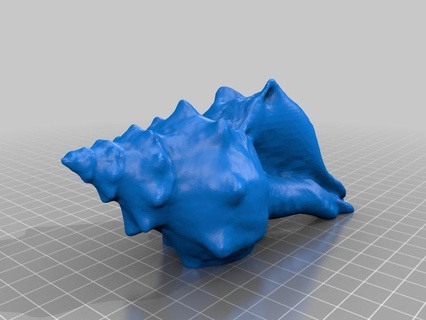 seashell makerbotdigitizer scan art 3d print model - Mito3D