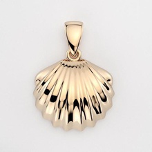 conchiglia pendente gioielli gioiello ciondolo seashell oceano argento oro art contemporanea stampabile mare la collana shell pesce ciondoli 3d print model - Mito3D