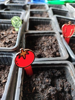 graine marqueur semis plante printemps seau légume fruit tomate 3d print model - Mito3D