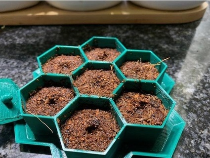 seed starting pot starter plant - plante seeder 3d print model - Mito3D
