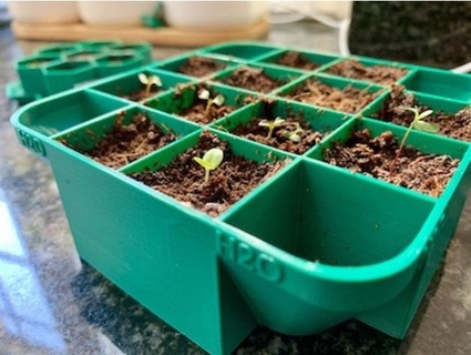 seed starting pot starter plant - planter seeds garden grow grower 3d print model - Mito3D