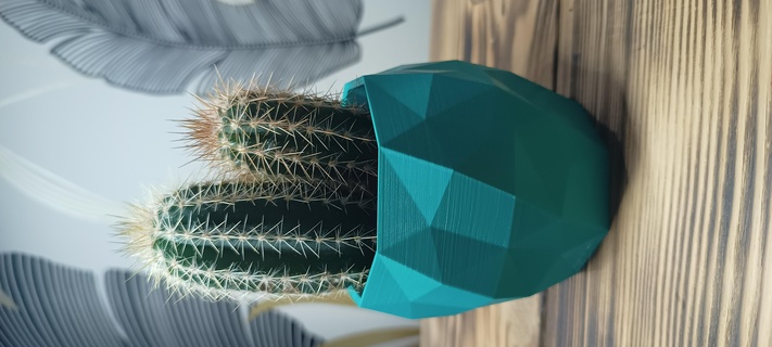 semis pot géométrique facile échelle cadeau plante Accueil maison décoration 3d print model - Mito3D