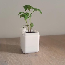 self-watering planter small home 3d print model - Mito3D