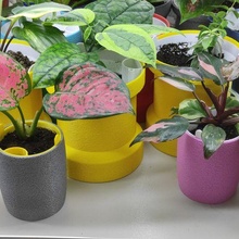 self watering pot 02l fleur plante 3d print model - Mito3D