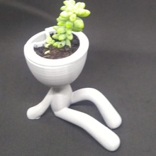 self-watering succulent planter - seated home garden 3d print model - Mito3D