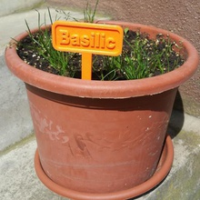 set 8 herb bahçe Fransız etiketleri ev etiket paneller çıkartmaları poster bitki pot çim 3d print model - Mito3D