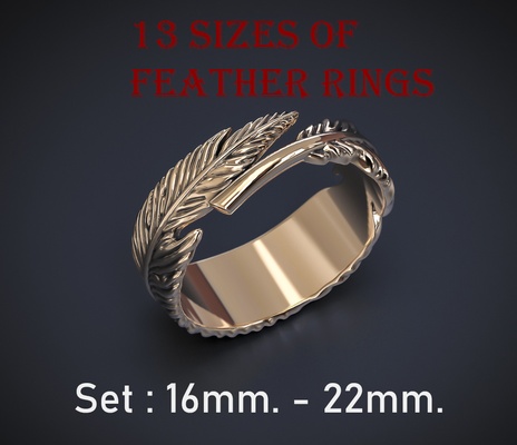 set of 13 sizes feather rings 3d print model - Mito3D